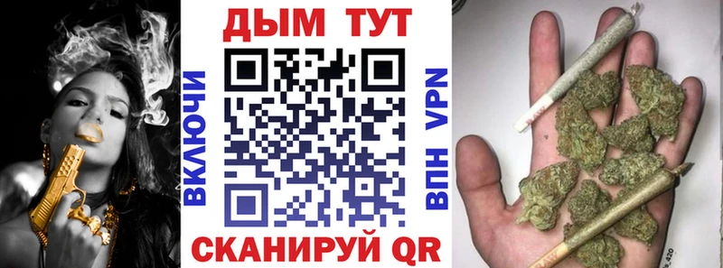 Конопля гибрид  закладки  Ахтырский 